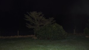 DSCF3428