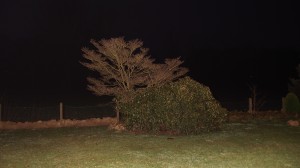DSCF3429