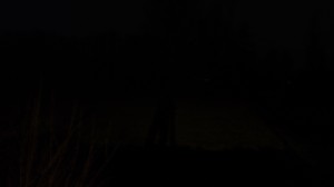 DSCF3430