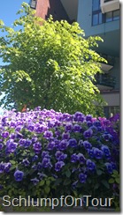 WP_20140608_12_24_53_Pro