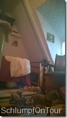 WP_20140608_14_43_13_Pro