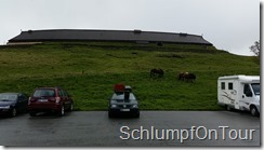 PIC_-_2015-06-12_11-52-52_0195 - Kopie