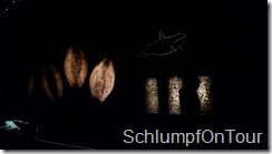 PIC_-_2015-06-12_12-23-59_0205