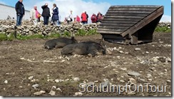 PIC_-_2015-06-12_13-17-00_0217