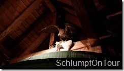 PIC_-_2015-06-12_13-31-41_0220