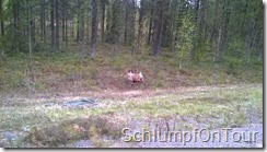 WP_20150607_022