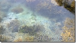 WP_20150608_016