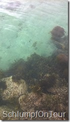WP_20150608_021