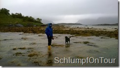 WP_20150609_009