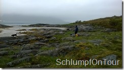 WP_20150609_040