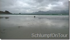 WP_20150610_011
