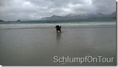 WP_20150610_013