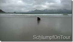 WP_20150610_014