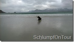 WP_20150610_015