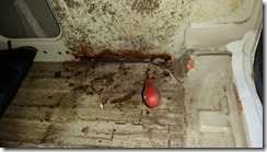 IMG_20160330_194237