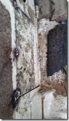 IMG_20160403_125117