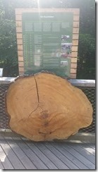 IMG_20160623_143351